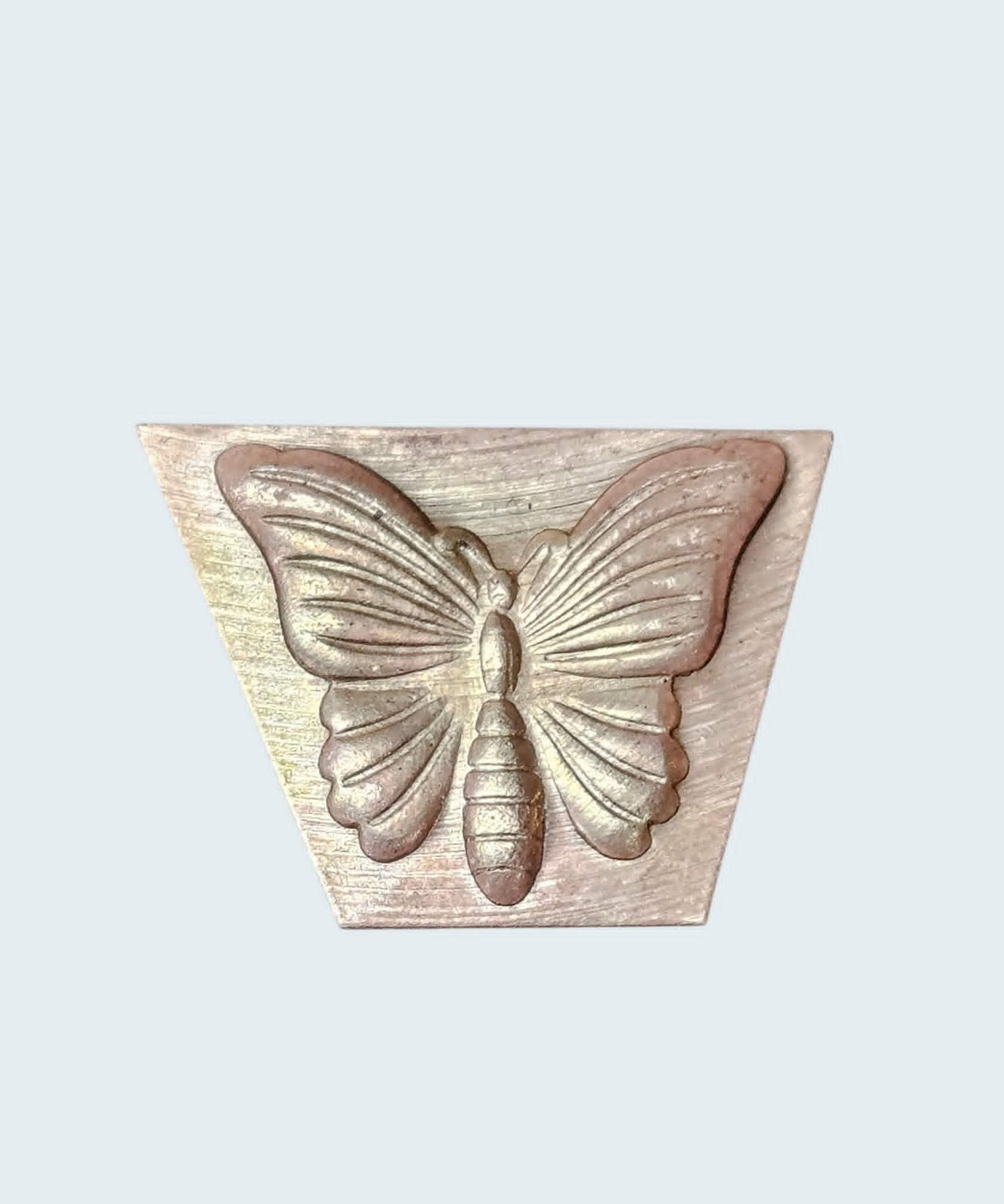 #BF-1 butterfly