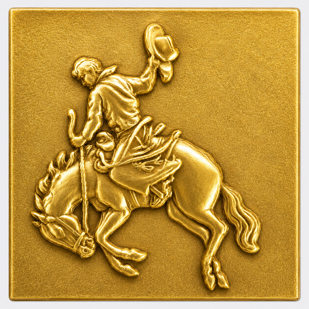 Bronc rider #BR-1