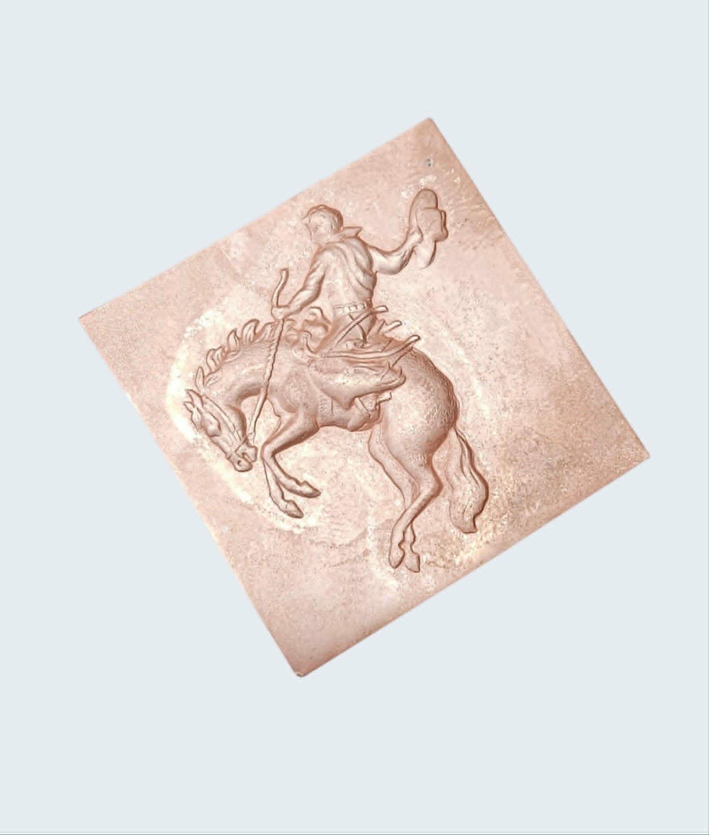 #BR-1 bronc rider