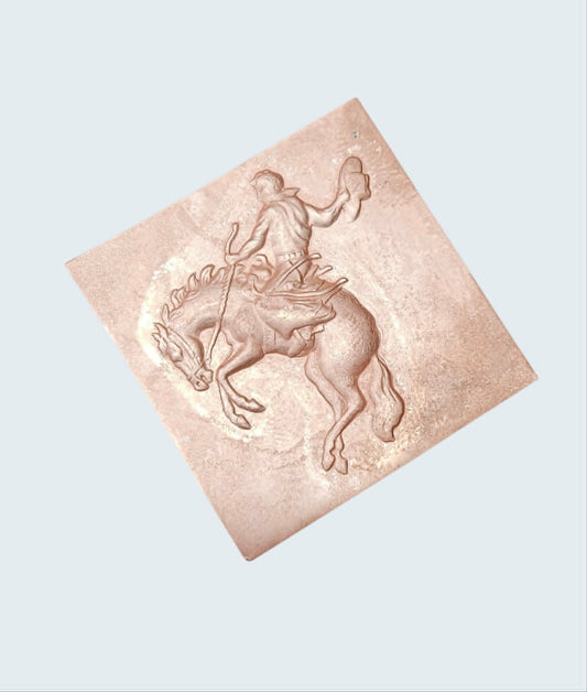 #BR-1 bronc rider