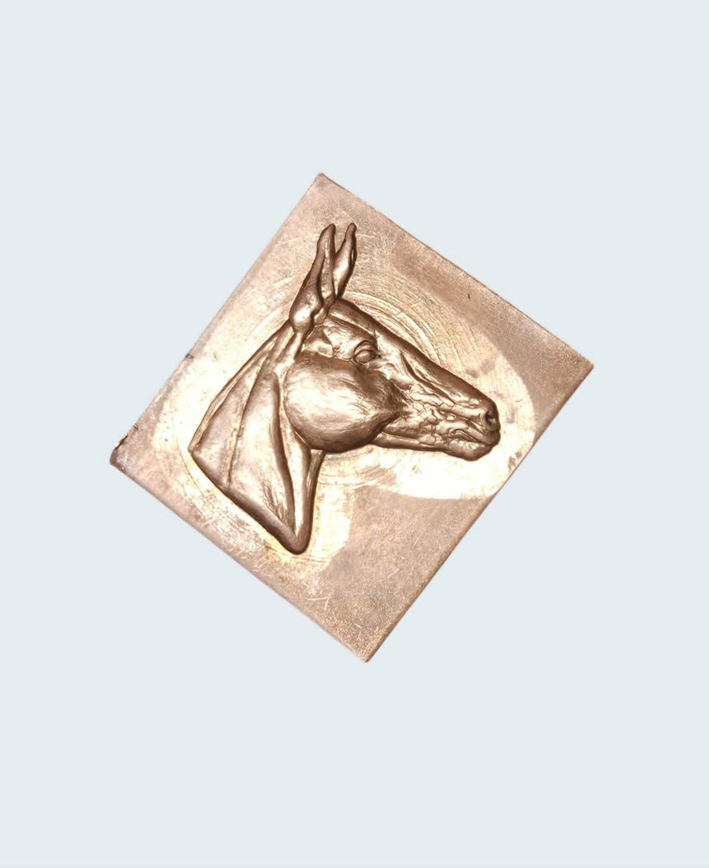 #MH-1 mule head